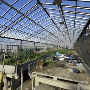 5668